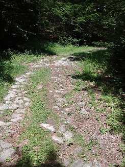 a via vandelli inattesa