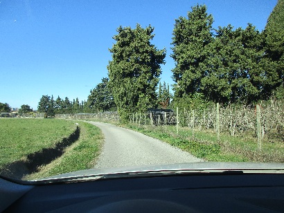 8 strada improbabile1